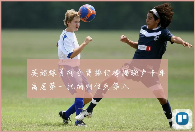 英超球员转会费排行榜揭晓卢卡库高居第一托纳利位列第八