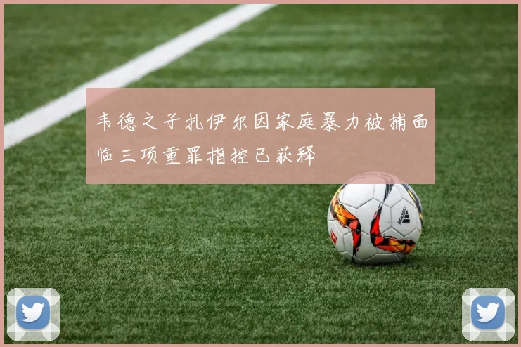 韦德之子扎伊尔因家庭暴力被捕面临三项重罪指控已获释
